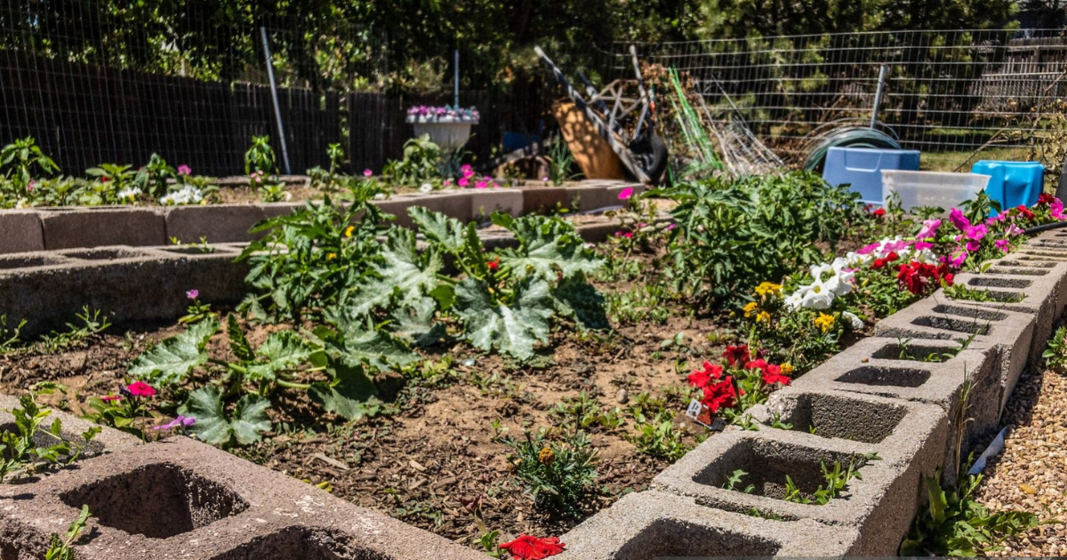 cinder block garden ideas