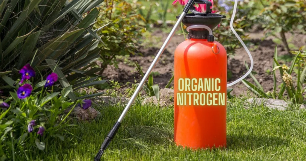 organic nitrogen fertilizer