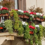 balcony garden