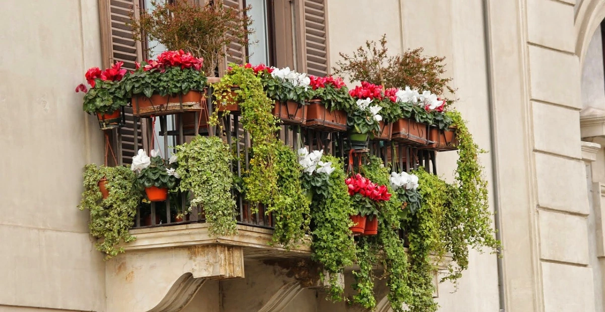 balcony garden