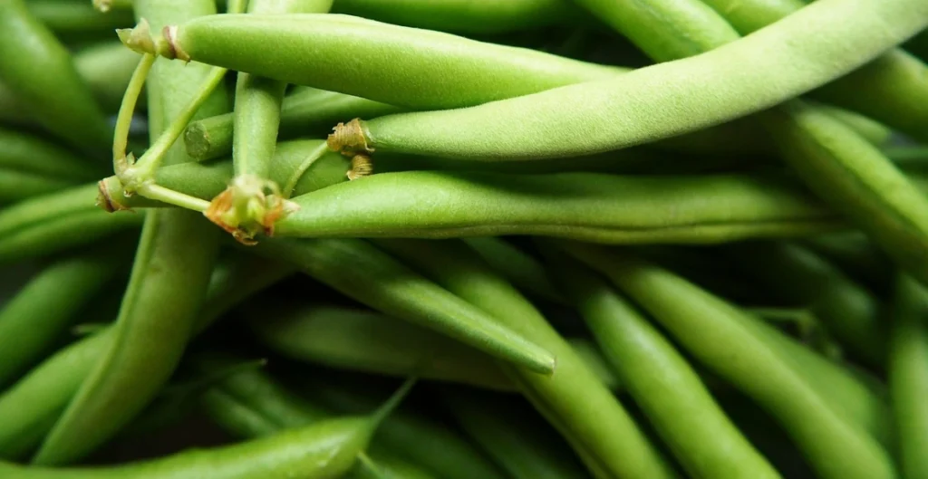 wax beans