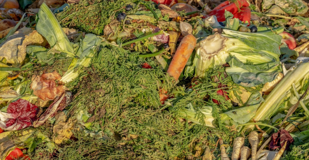 diy organic fertilizer recipe