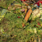 diy organic fertilizer recipe